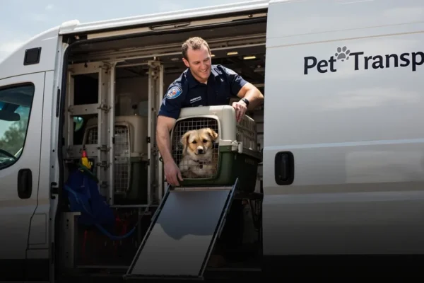 Empresas de Transporte de Animais: Como Escolher o Serviço Perfeito para Seu Pet Empresas de Transporte de Animais